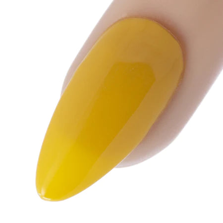 YN ManiQ Gel Colors